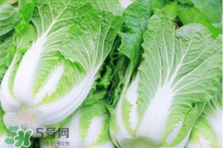 2017過年白菜會(huì)漲價(jià)嗎？2017年春節(jié)白菜價(jià)格預(yù)測(cè)