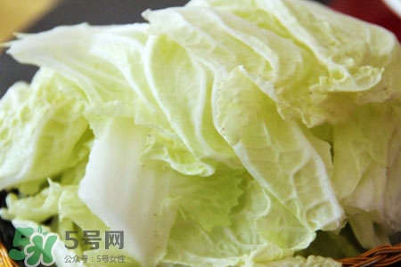 2017過年白菜會(huì)漲價(jià)嗎？2017年春節(jié)白菜價(jià)格預(yù)測(cè)