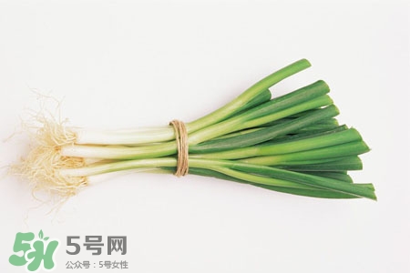 2017過年大蔥會(huì)漲價(jià)嗎？2017年春節(jié)大蔥價(jià)格預(yù)測(cè)