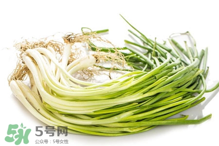 2017過年小蔥會(huì)漲價(jià)嗎？2017年春節(jié)小蔥價(jià)格預(yù)測(cè)