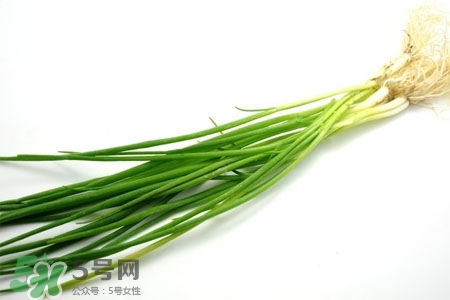 2017過年小蔥會(huì)漲價(jià)嗎？2017年春節(jié)小蔥價(jià)格預(yù)測(cè)