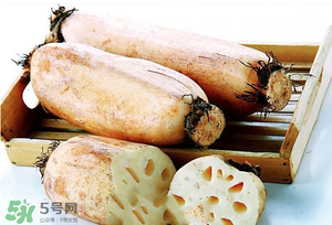 蓮藕多少錢(qián)一斤？蓮藕多少錢(qián)一斤2017？