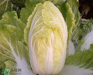 白菜葉子上的小黑點(diǎn)是什么？白菜葉子上有黑點(diǎn)能吃嗎？