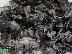 干木耳泡多久可以吃？干木耳泡了兩天還能吃嗎？