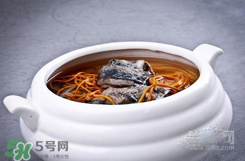 蟲草花怎么吃？蟲草花的吃法用量