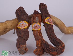 鎖陽和肉蓯蓉一起泡酒可以嗎？肉蓯蓉和鎖陽的區(qū)別