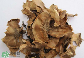 分心木真的能治失眠嗎？分心木治療失眠有奇效