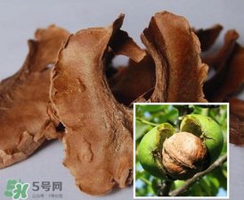 核桃分心木能長期喝嗎？核桃分心木一天喝幾次？