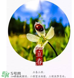 立春可以出門嗎？立春為什么不能出門？