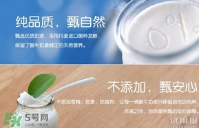 純甄酸奶的熱量是多少？純甄酸奶喝了會胖嗎？