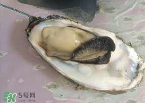 生蠔多少錢一斤？生蠔一斤有幾個(gè)？
