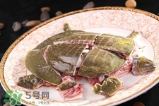 有乙肝可以吃甲魚(yú)嗎？乙肝患者禁吃甲魚(yú)
