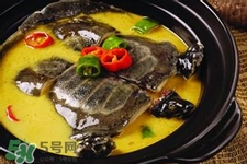 有乙肝可以吃甲魚(yú)嗎？乙肝患者禁吃甲魚(yú)
