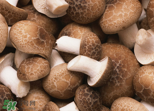 一歲寶寶可以吃香菇嗎？寶寶多大可以吃香菇？