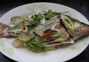 桂魚蒸多長(zhǎng)時(shí)間？桂魚水開后蒸多長(zhǎng)時(shí)間？
