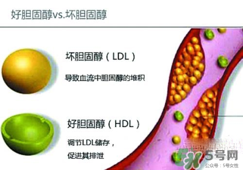 膽固醇高是血脂稠嗎？膽固醇高和血脂稠有什么聯(lián)系？