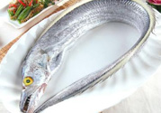帶魚(yú)多少錢(qián)一斤？帶魚(yú)多少錢(qián)一箱？