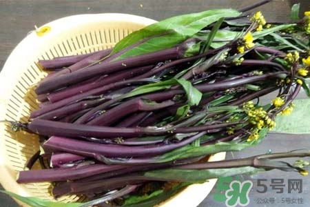 紅菜苔怎么保存？紅菜苔的存儲(chǔ)方法