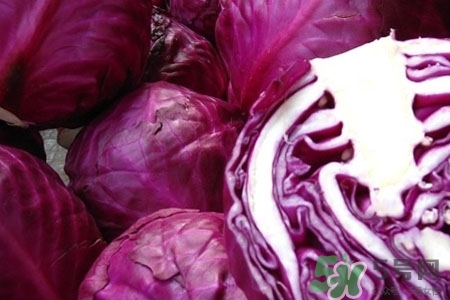 紫甘藍(lán)是轉(zhuǎn)基因食品嗎？紫甘藍(lán)是轉(zhuǎn)基因蔬菜嗎？