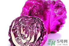 涼拌紫甘藍(lán)用焯水嗎？紫甘藍(lán)涼拌需要焯水嗎？