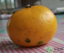 橘子皮發(fā)霉可以吃嗎？吃了發(fā)霉的橘子怎么辦？