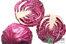 紫甘藍(lán)和包心菜哪個更營養(yǎng)？紫甘藍(lán)和包心菜的區(qū)別