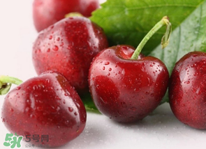 為什么吃車?yán)遄訒?huì)拉肚子？吃車?yán)遄永亲釉趺崔k？