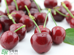 為什么吃車?yán)遄訒?huì)拉肚子？吃車?yán)遄永亲釉趺崔k？