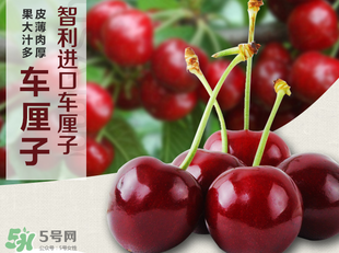 車?yán)遄恿验_能吃嗎？車?yán)遄訛槭裁磿验_？