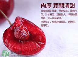 車?yán)遄幽睦锂a(chǎn)的最好？車?yán)遄赢a(chǎn)地在哪里？