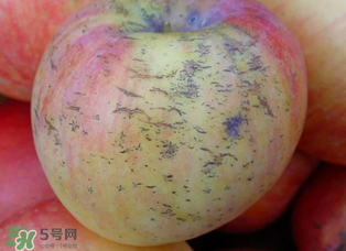 蘋果裂紋能吃嗎？蘋果裂紋是怎么回事？
