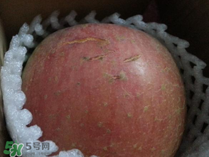 蘋果裂紋能吃嗎？蘋果裂紋是怎么回事？