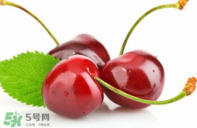 車?yán)遄涌梢詭巷w機(jī)嗎？車?yán)遄幽軒巷w機(jī)嗎？