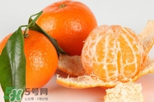 沙糖桔上火嗎？沙糖桔吃多了會上火嗎？