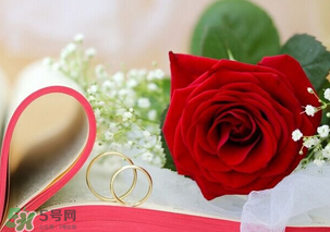 情人節(jié)送什么顏色的玫瑰花好？情人節(jié)送幾朵玫瑰花好？