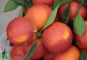 血橙多少錢一斤？四川血橙多少錢一斤？