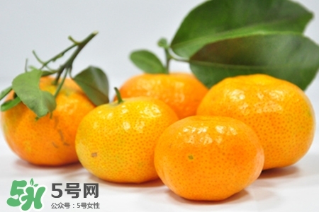蜜桔怎么保存？蜜桔的保存方法
