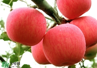 冬天蘋(píng)果太涼怎么吃？冬天蘋(píng)果太涼怎么給寶寶吃？