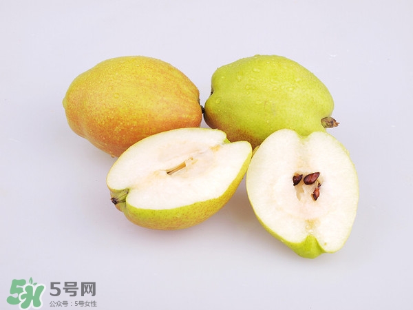 庫爾勒香梨分公母嗎？庫爾勒香梨怎么分公母？