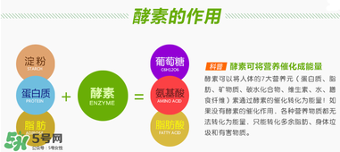 喝酵素拉肚子正常嗎？喝酵素拉肚子的原因