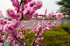 春季養(yǎng)生需注意什么？春季養(yǎng)生宜分三個時間段