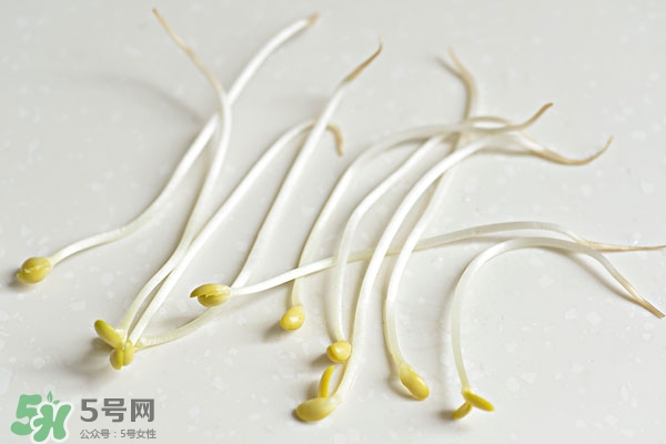 黃豆芽能做餡料嗎？黃豆芽餡包子怎么做？