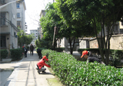 春天吃什么養(yǎng)肝？春季吃什么養(yǎng)肝護(hù)肝？