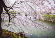 春季養(yǎng)生需注意什么？春季養(yǎng)生宜分三個(gè)時(shí)間段