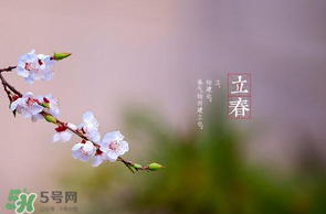 立春后種什么花？立春時開的花有哪些？