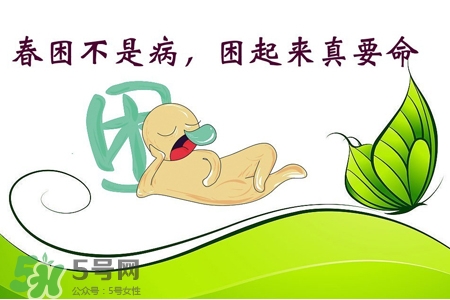 春困吃什么好？春天總犯困吃什么好？