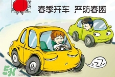 春困可以喝茶嗎？春困喝茶有用嗎？