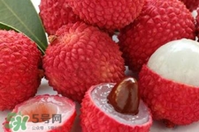 荔枝能放多久？荔枝可以放幾天？