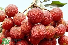 孕期吃荔枝會(huì)流產(chǎn)嗎？孕婦吃荔枝會(huì)好嗎？