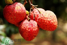 坐飛機(jī)能帶荔枝嗎？荔枝可以帶上飛機(jī)嗎？